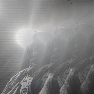 Meet your Posher, Kristopher